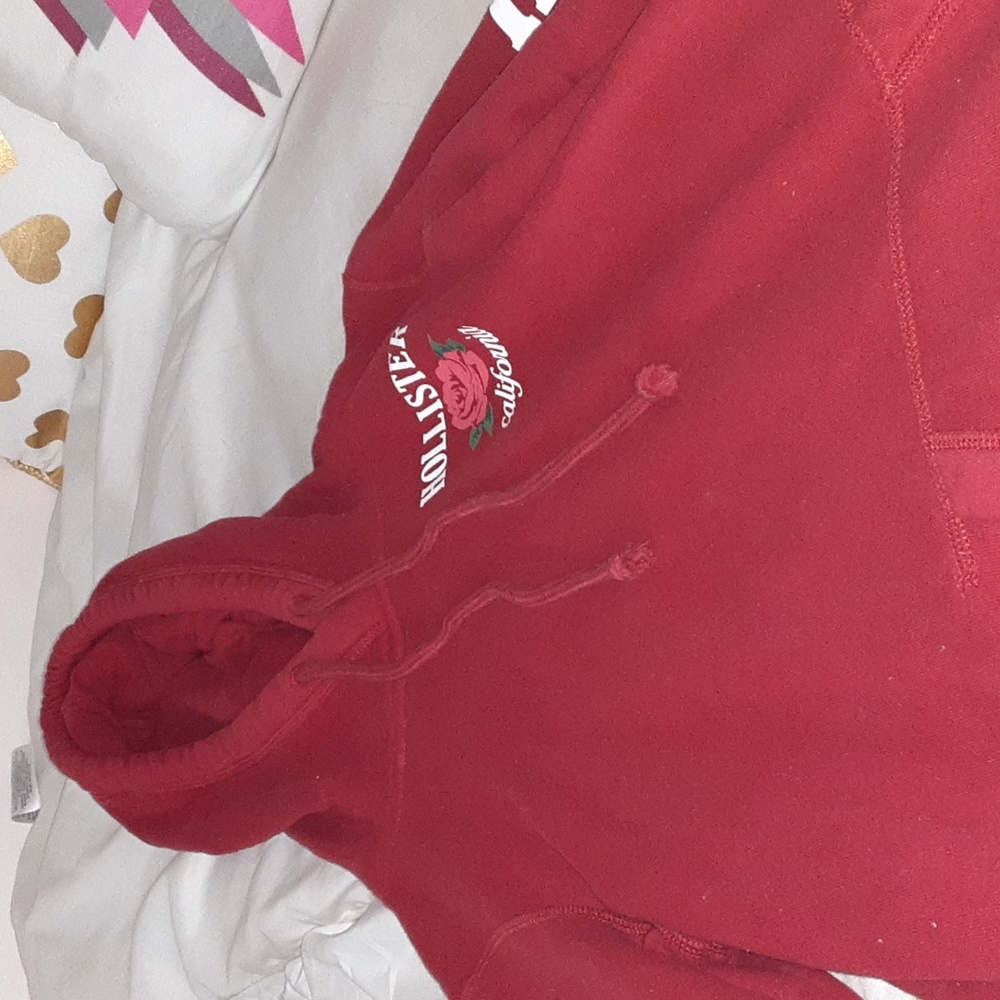 Hollister rose hoodie
